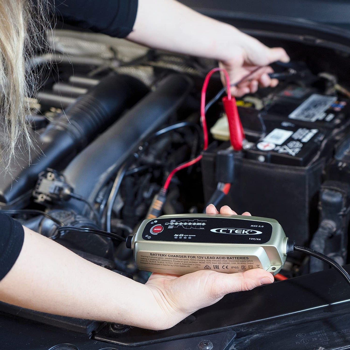 MXS 5.0, Cargador Batería 12V 5A Con Compensación De Temperatura Incorporada, Cargador De Batería De Coche Y Moto, Cargador Inteligente Baterias, Mantenedor De Batería Con Opción De AGM Dedicada